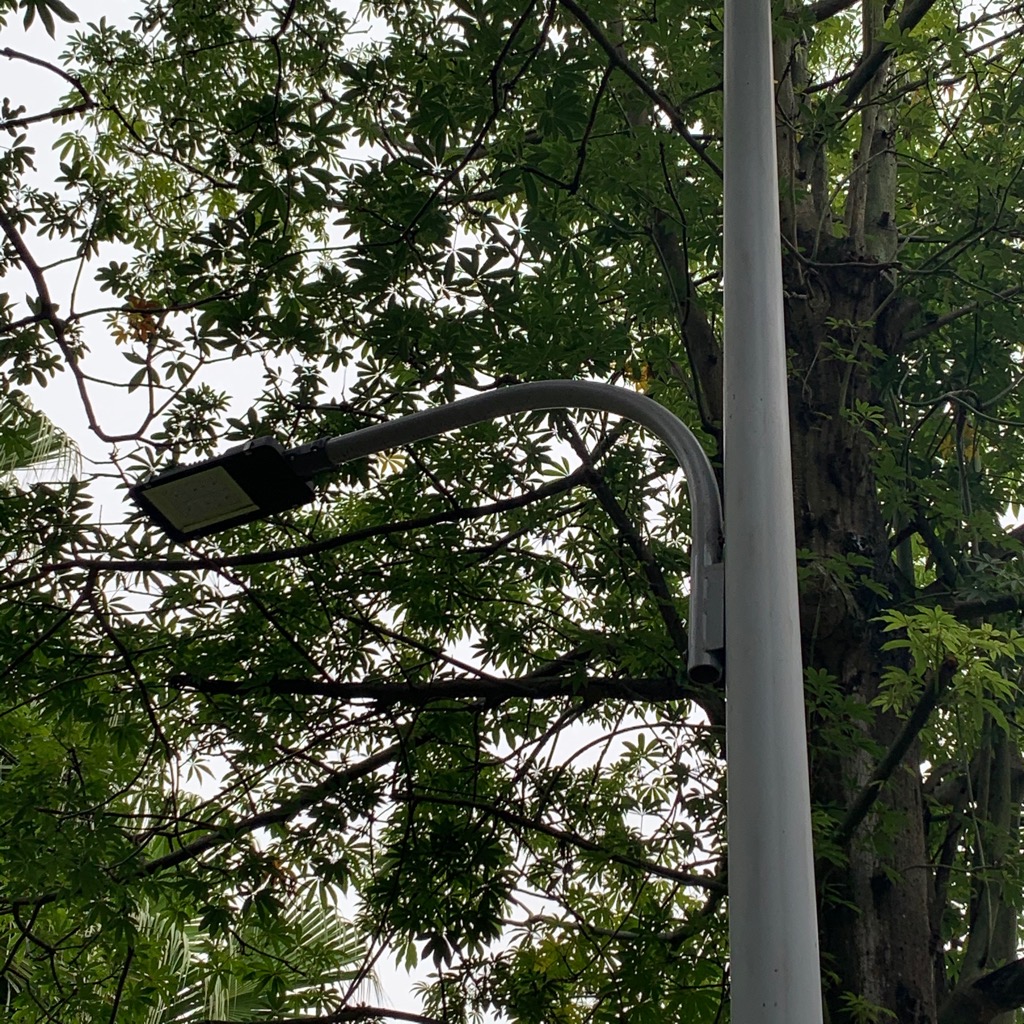 Cột Đèn Đường Trang Trí chiếu sáng công viên khu đô thị mới