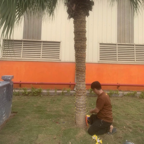 Dây LED F5/0.2W 12V Cuốn Cây Cảnh - Trang trí sân vườn