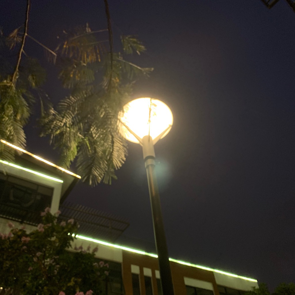 Đèn trang trí công viên khu đô thị mã số ZCV-001 ZALAA