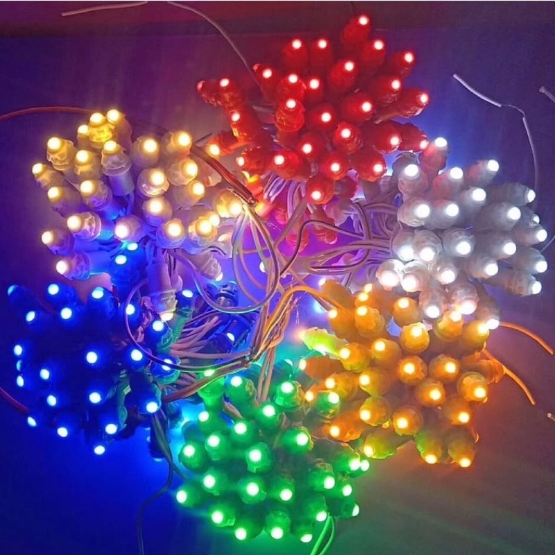 Dây LED F5/0.2W 12V Cuốn Cây Cảnh - Trang trí sân vườn