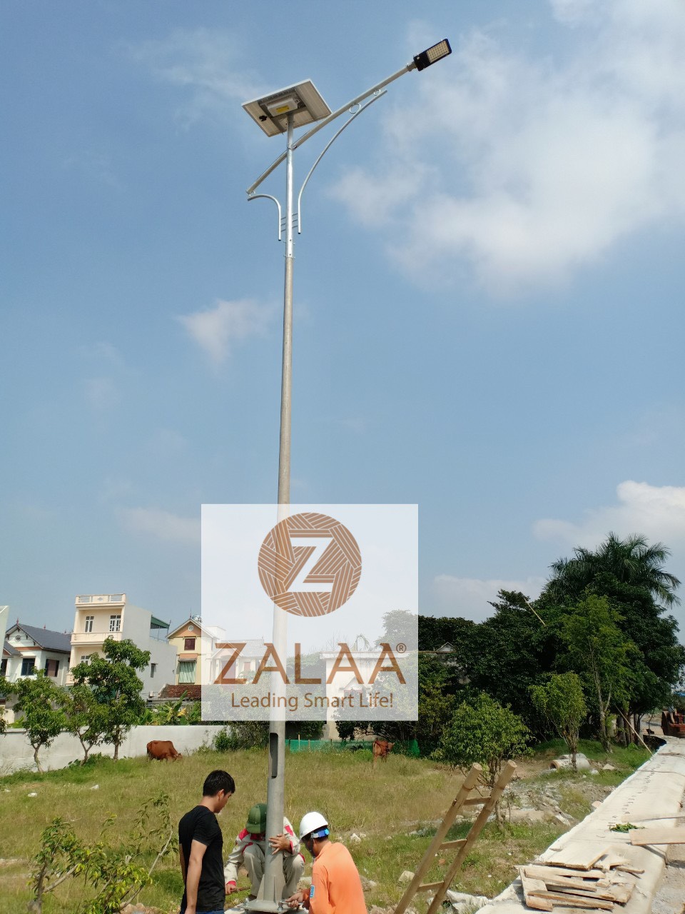 Đèn đường năng lượng mặt trời công suất 80w mã số ZXJD-80S