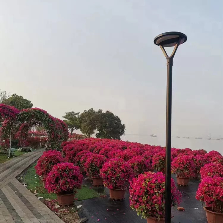 Đèn Cảnh Quan Sân Vườn Năng Lượng Mặt Trời ZG-TYD2705 20W ZALAA Cho cột cao 3-5m