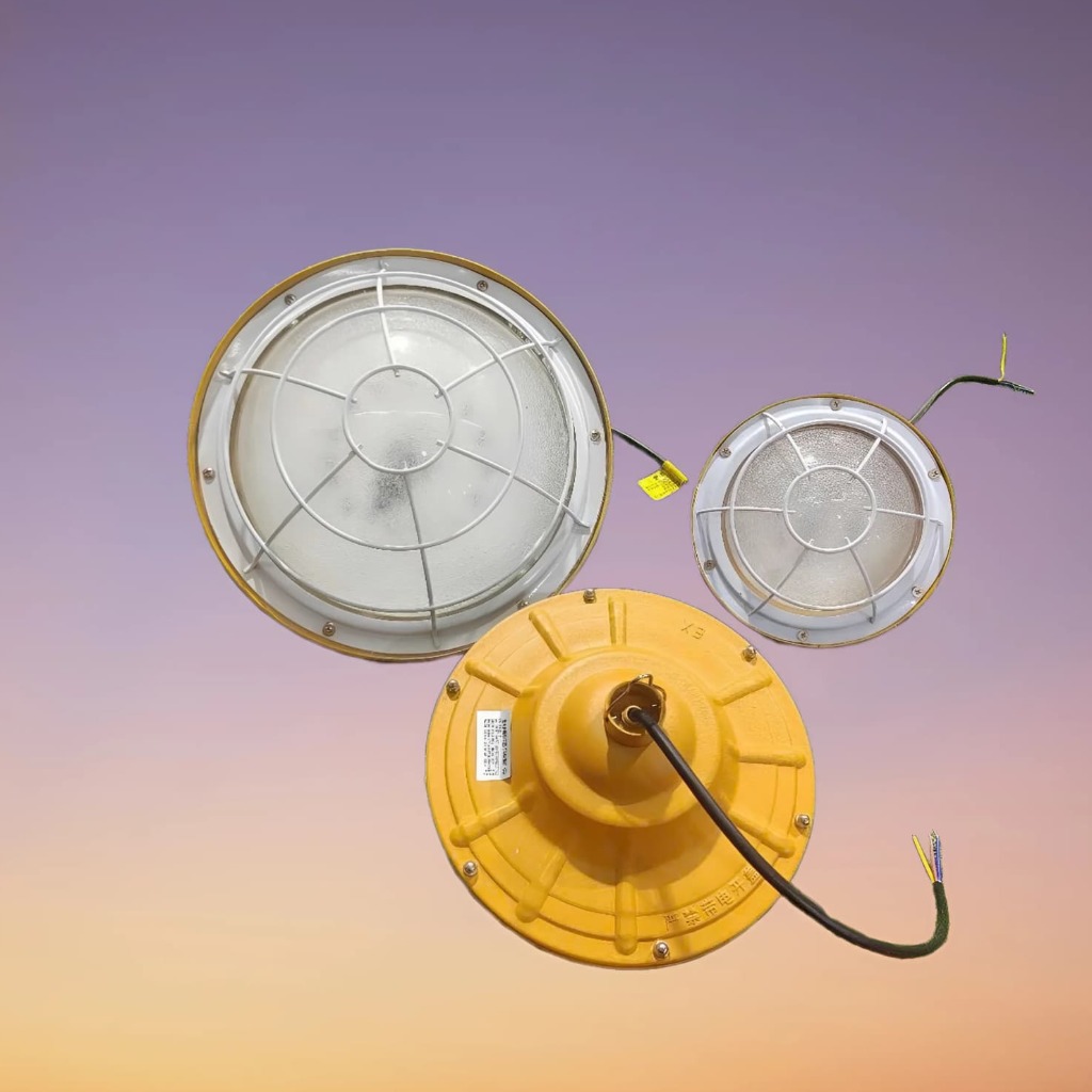 Đèn Chống Cháy Nổ Gắn Trần 100W - Mã sp ZXCC-SMD 100W ZALAA