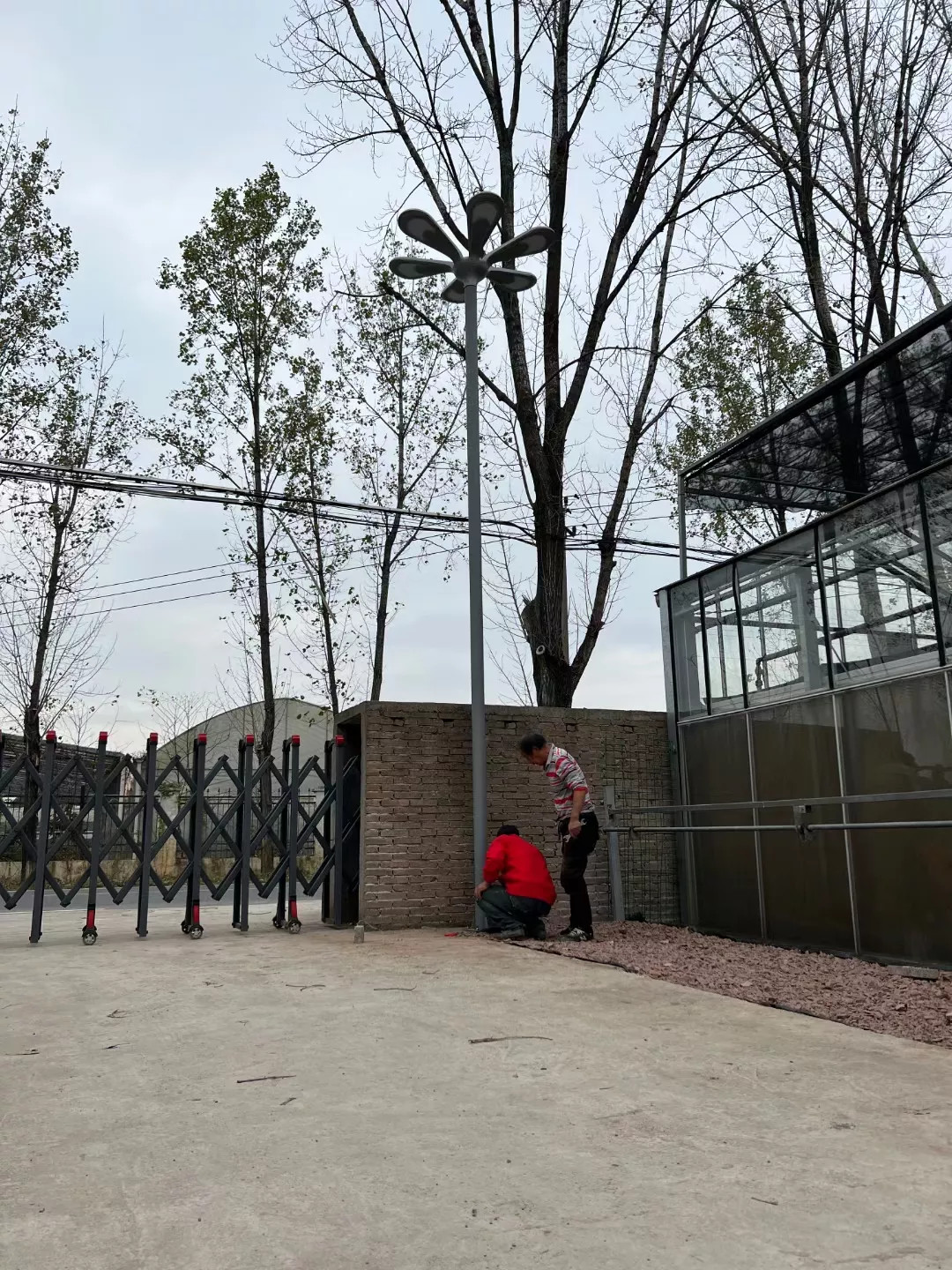 Đèn Đường LED Kiểu Dáng Bông Hoa 6 Cánh Hiện Đại ZG-TYD5005-6 AC220V 420W ZALAA Cho cột cao 6-10m