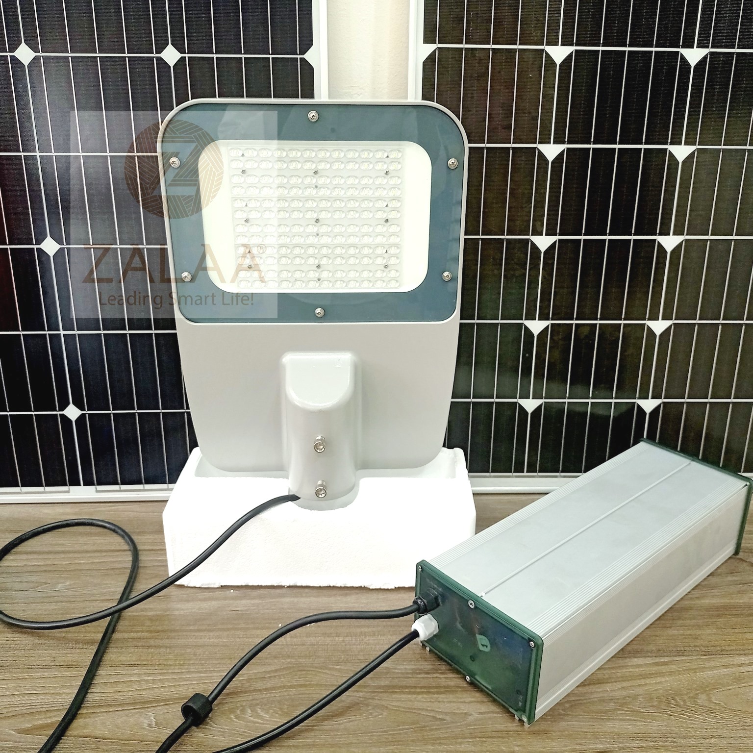 Bộ Đèn Đường Năng Lượng Mặt Trời 100W Mã Sản Phẩm ZSL-1302 Panel 160w Mono * 2pcs Battery 80AH 12.8V Bộ điều khiển Max100W