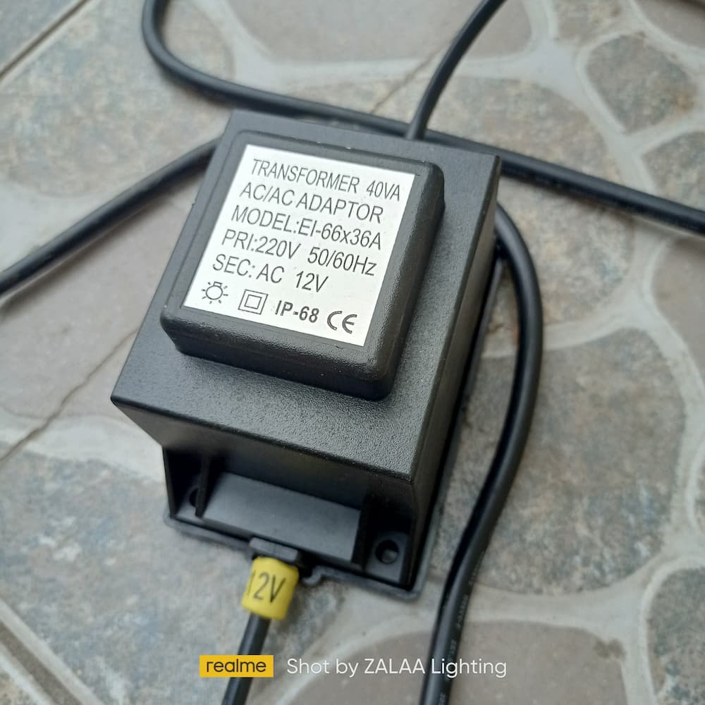 Đèn LED Bông hoa Bồ Công Anh Dandelion đường kính 1.5m, nhiều màu RGB - Giải pháp chiếu sáng cảnh quan kiểu mới