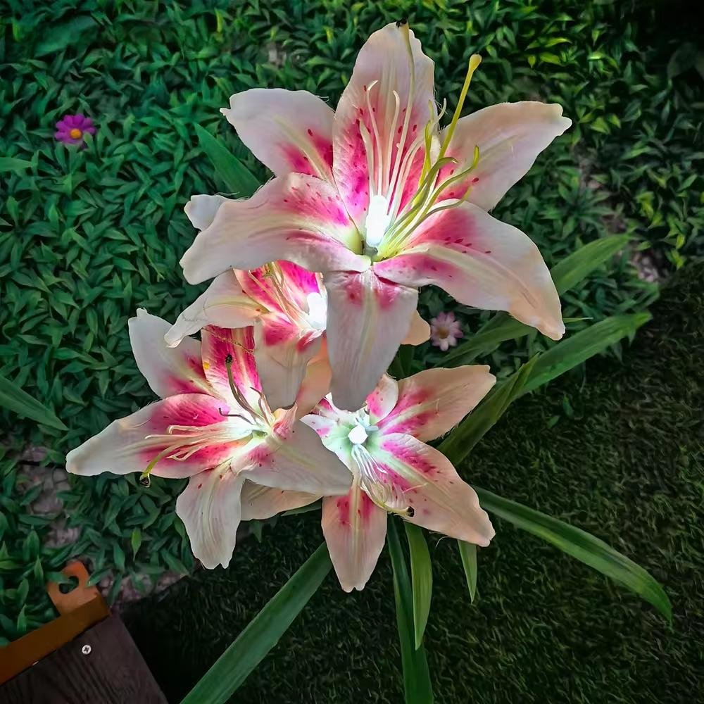 Đèn LED Mô Phỏng Bông Hoa Loa Kèn - Simulation lily flowers light cho Vườn Ánh Sáng Zalaa Light Garden
