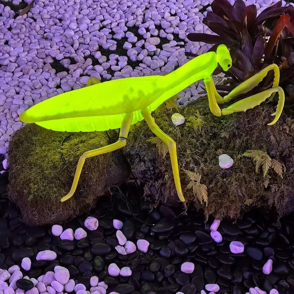 Đèn LED ZALAA Mô Phỏng Con Bọ Ngựa Mantis Năng Động Cho Vườn Ánh Sáng / Light Garden