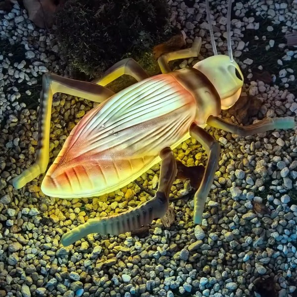 Đèn LED ZALAA Mô Phỏng Con Dế Mèn Crickets Năng Động Cho Vườn Ánh Sáng / Light Garden
