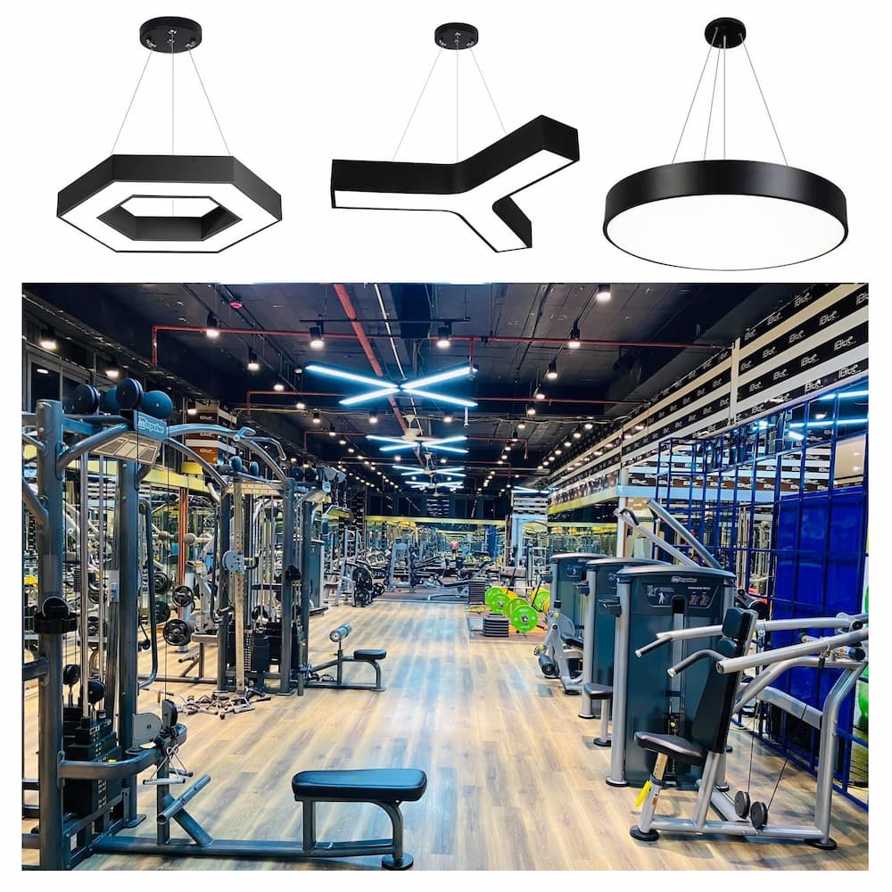Đèn LED Phòng Gym - Yoga - Boxing Tập Thể Dục Trong Nhà ZALAA