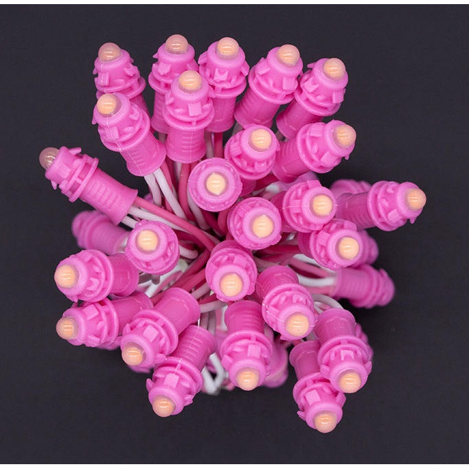 Dây LED F5/0.2W 12V Cuốn Cây Cảnh - Trang trí sân vườn