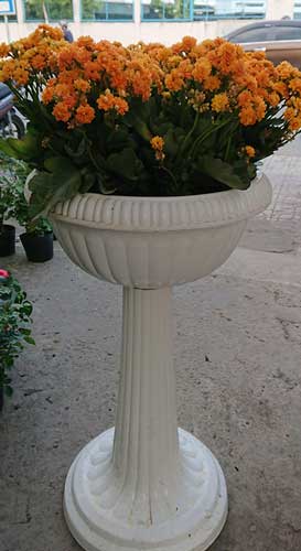 sống đời kép
