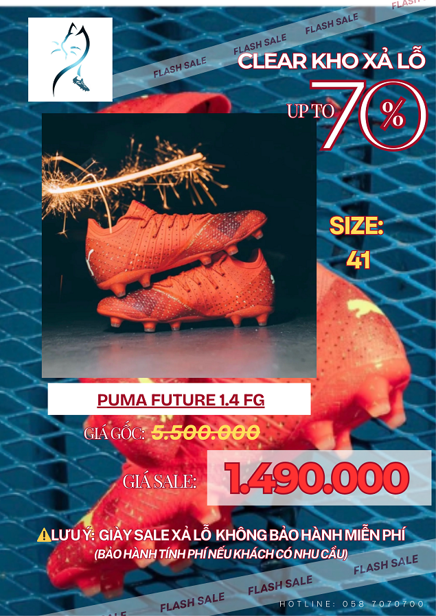 Puma Future 1.4 FG