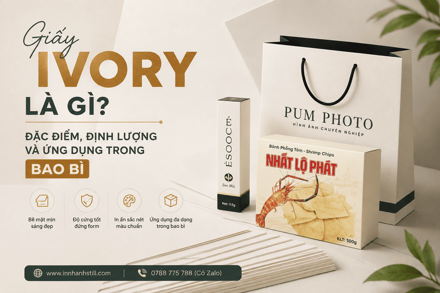 Giấy Ivory là gì? Đặc điểm, định lượng và ứng dụng trong in ấn bao bì