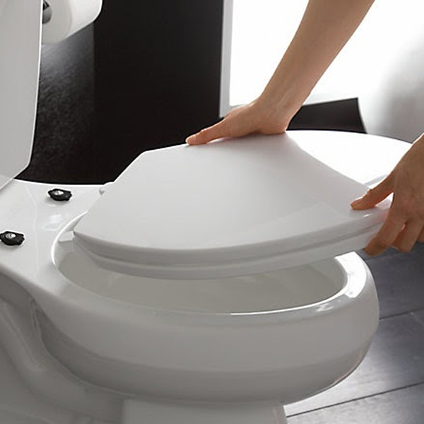 Hướng dẫn thay nắp bồn cầu Inax giúp bạn tự làm