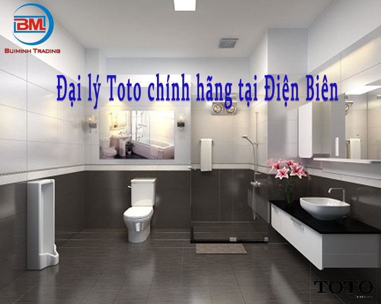 Đại lý thiết bị vệ sinh Toto chính hãng tại Điện Biên