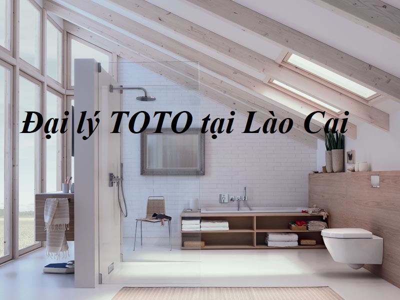 Đại lý phân phối TOTO tại Lào Cai