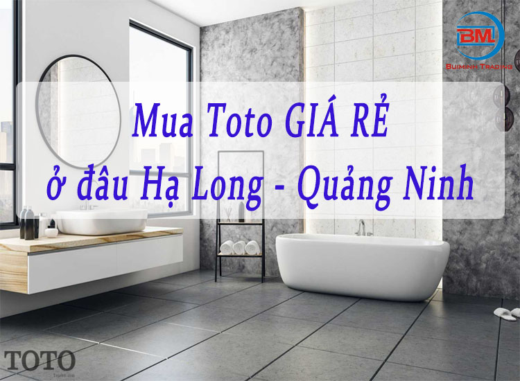 Thiết bị vệ sinh Toto GIÁ RẺ tại Hạ Long