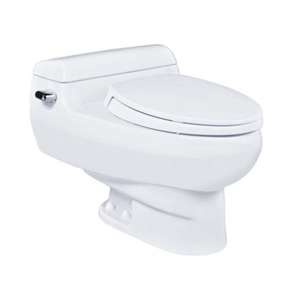 Tại sao bạn nên chọn bồn cầu ToTo MS436T2 (MS436S)