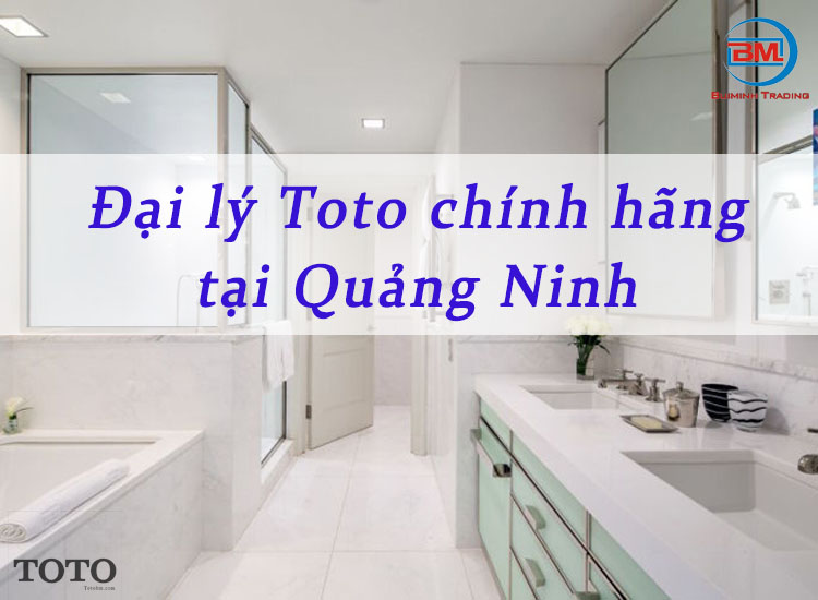 Đại lý Toto chính hãng, giá tốt tại Quảng Ninh