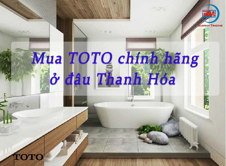 Thiết bị vệ sinh Toto chính hãng, giá tốt tại Thanh Hóa