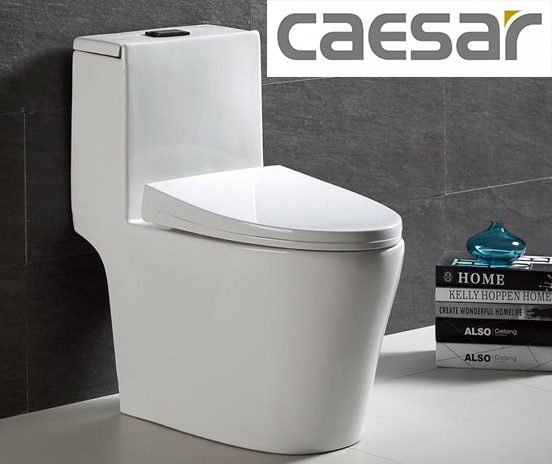 KHI NÀO BẠN CẦN PHẢI THAY MỚI CHIẾC BỒN CẦU CAESAR