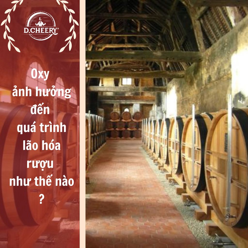 Lượng oxy có trong Thùng Gỗ Sồi nói lên điều gì?