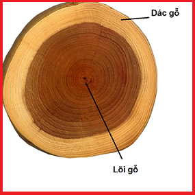 Bí quyết lựa chọn gỗ sồi để làm thùng rượu