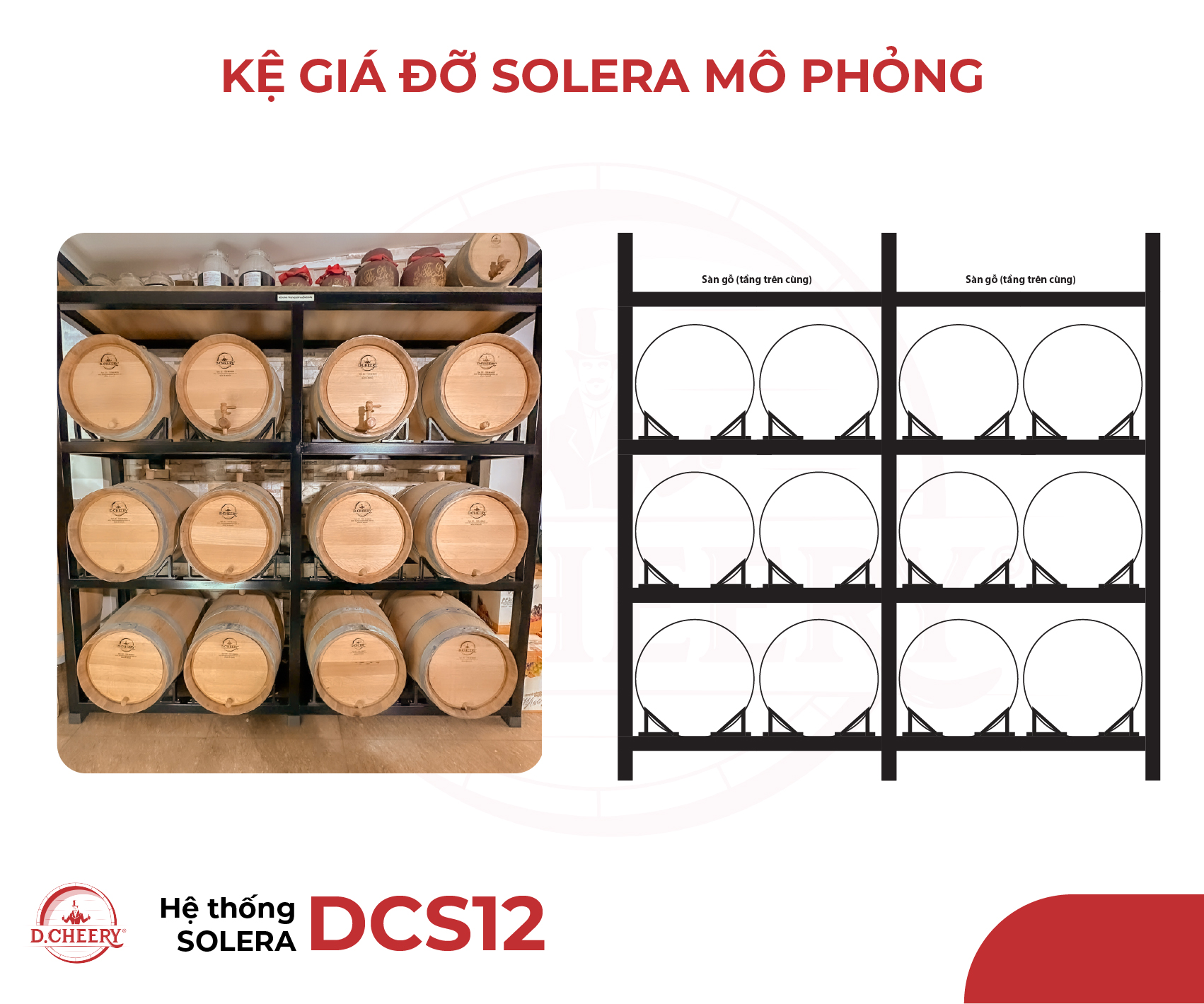 Hệ thống SOLERA - DCS12