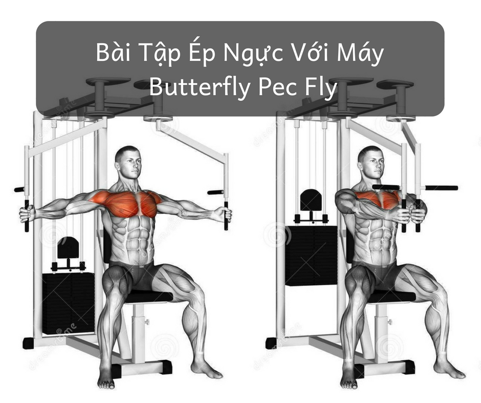 lich tap gym giam can butterfly