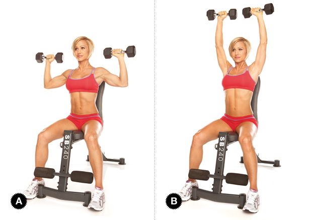 lich tap gym giam can seated dumbbell press