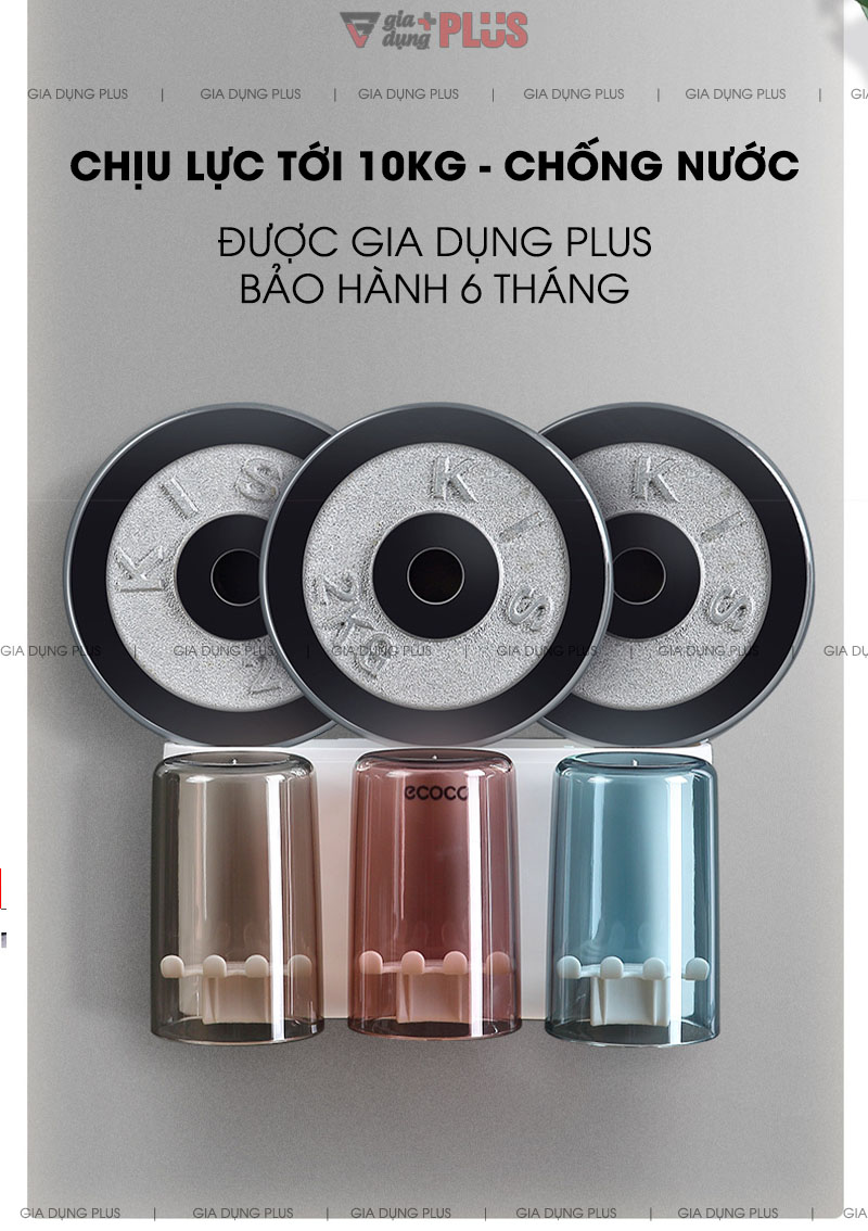 Chịu lực tới 10kg mà không cần khoan tường, lắp đặt dễ dàng nhanh chóng | Hộp đựng bàn chải, đồ dùng cá nhân kèm cốc súng miệng trong suốt cao cấp Ecoco
