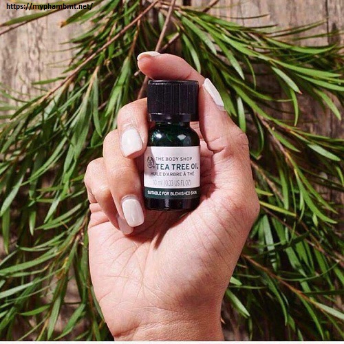 Tinh dầu trị mụn & kháng khuẩn Tea Tree Oil