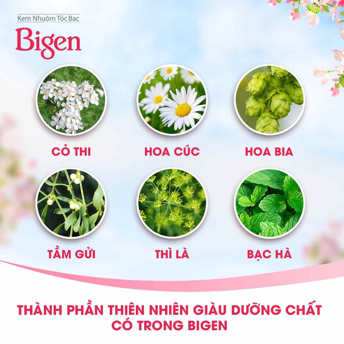 Thuốc Nhuộm Tóc Bigen Nhật Phủ Bạc 40g