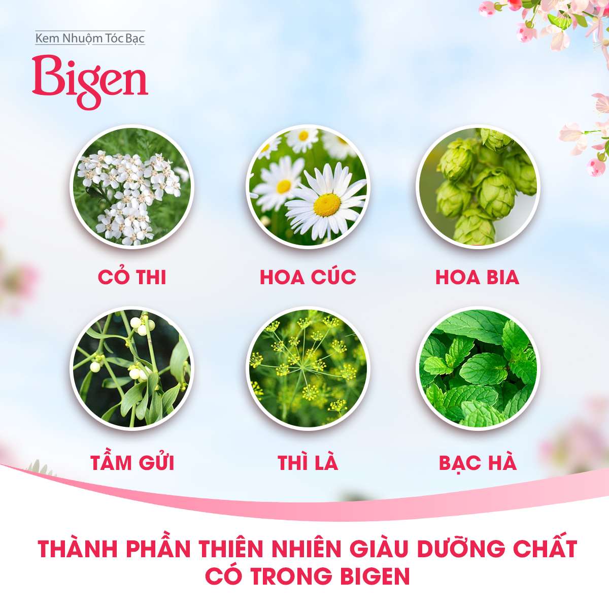 Thuốc Nhuộm Tóc Bigen Speedy Color Milky 40g