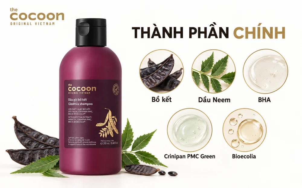 Thành phần chính của dầu gội bồ kết Cocoon: bồ kết, dầu Neem, BHA, Crinipan PMC Green, Bioecolia