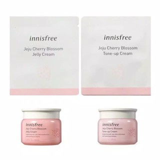 Sample Kem Dưỡng Innisfree Jeju Cherry Blossom Cream 1ml