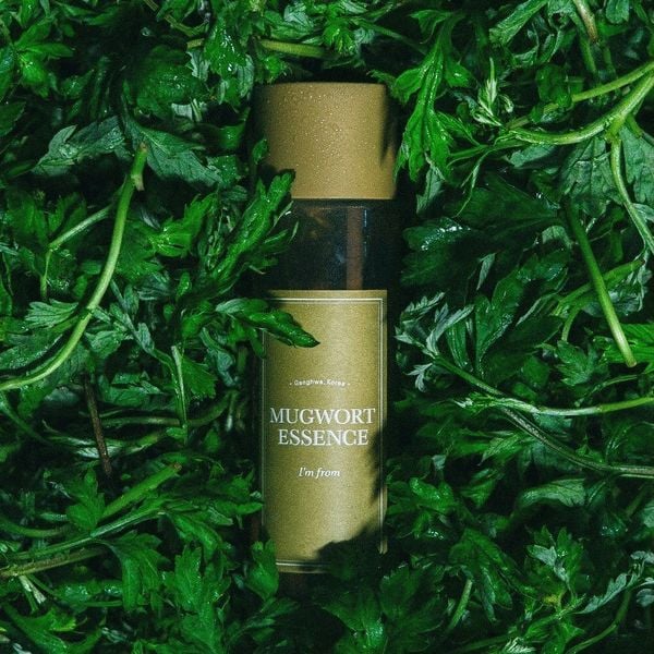 Tinh Chất I'm From Mugwort Essence Làm Dịu & Phục Hồi Da Tổn Thương 30ml