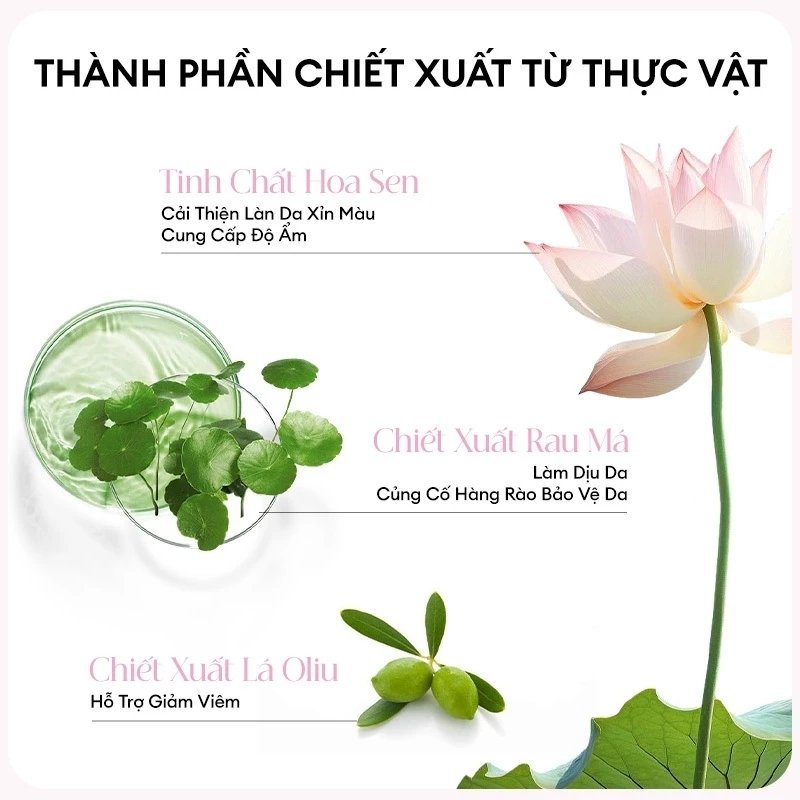 Sữa Rửa Mặt Colorkey Luminous Lotus Brightening Clay Cleanser 100g