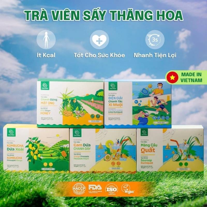 Trà Viên Trái Cây Sấy Thăng Hoa Châu Nhiên (17gr x 7 gói)