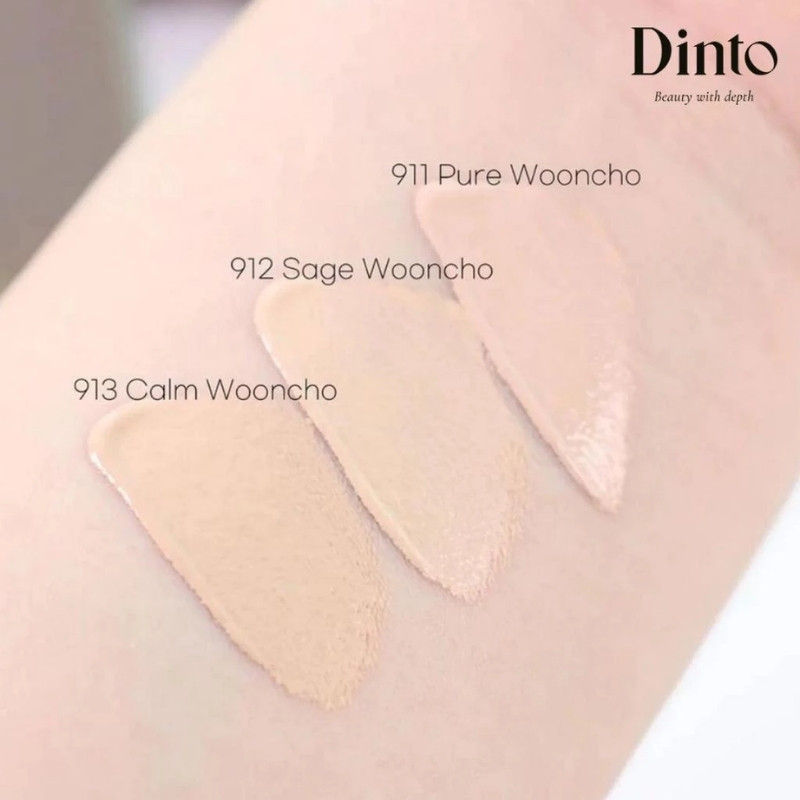 Kem Che Khuyết Điểm Thuần Chay Mỏng Nhẹ Dinto Wooncho Light-Veil Concealer 4,5g