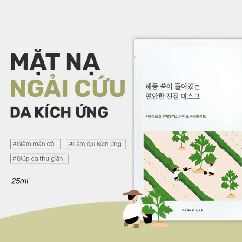 Mặt Nạ Giúp Dịu Da Chiết Xuất Ngải Cứu Round Lab Mugwort Calming Mask 25ml