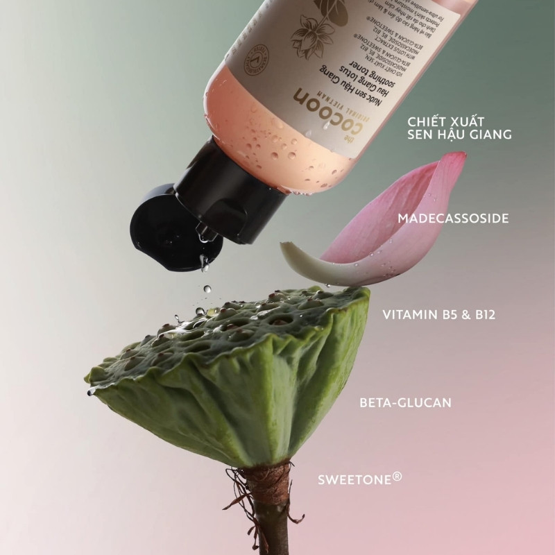 Nước Hoa Hồng Cocoon Sen Hậu Giang Lotus Soothing Toner
