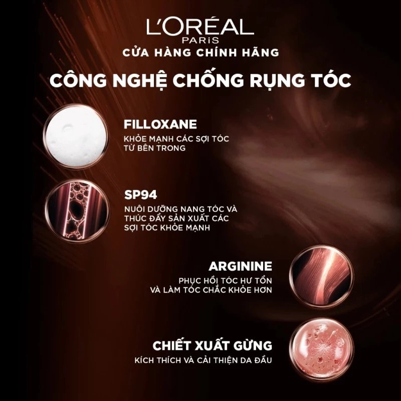 Bộ Dầu Gội Xả Ngăn Rụng Tóc L'Oeal Full Resist Purifying 440ml