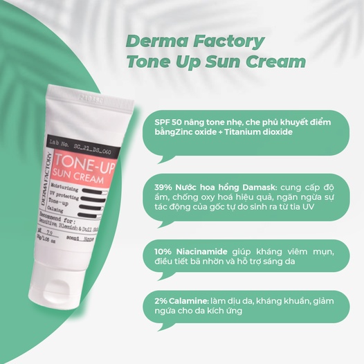 Kem Chống Nắng Nâng Tông Cấp Ẩm Derma Factory Waterfull Tone Up Sun Cream 30g
