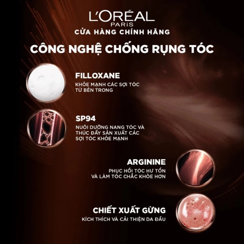 Bộ Dầu Gội Xả Ngăn Rụng Tóc L'oreal Full Resist Purifying 440ml