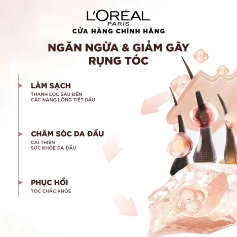 Bộ Dầu Gội Xả Ngăn Rụng Tóc L'oreal Full Resist Purifying 440ml