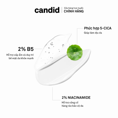 Kem Dưỡng Dưỡng Ẩm, Làm Dịu Da Candid B5 Cica Repair & Soothing Cream