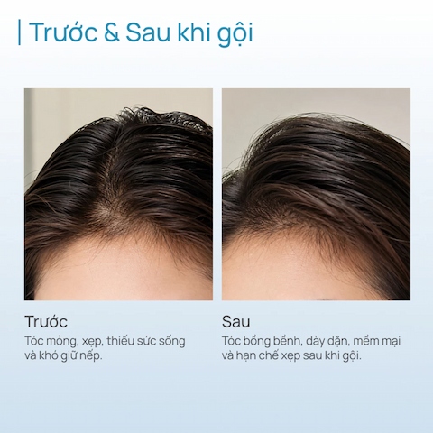 Dầu Gội Chando Làm Phồng & Nuôi Dưỡng Tóc Dày, Chắc Khỏe Himalaya Volumizing & Fortiying 600ml