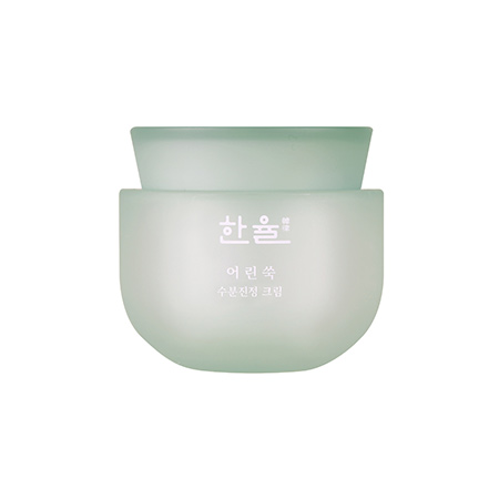 Kem Dưỡng Hanyul Pure Artemisia Watery Calming Cream (50ml)